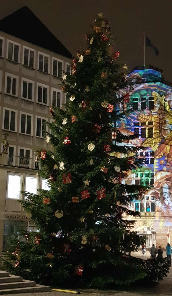 Weihnachtsbaum Bremen Marktplatz. Foto TCBS